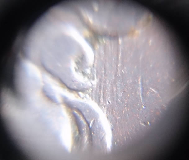 1851-Large-Cent-Newcomb?